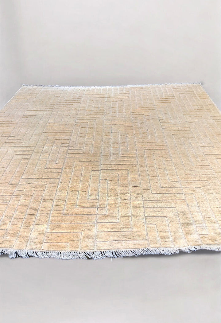 Zeva Hand Knotted Rug - Size: 8.6 x 10