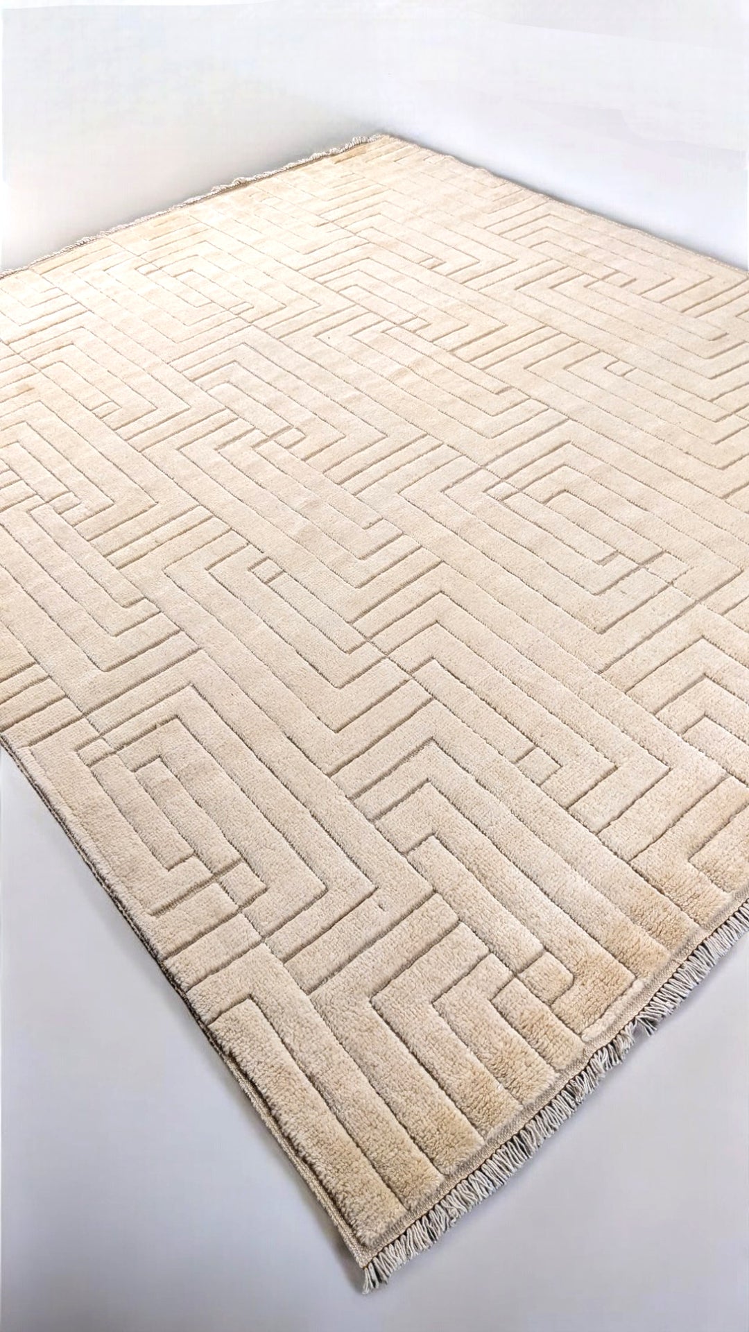 Zeva Hand Knotted Rug - Size: 8.6 x 10