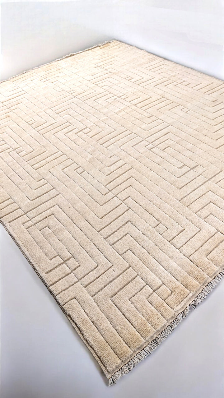 Zeva Hand Knotted Rug - Size: 8.6 x 10