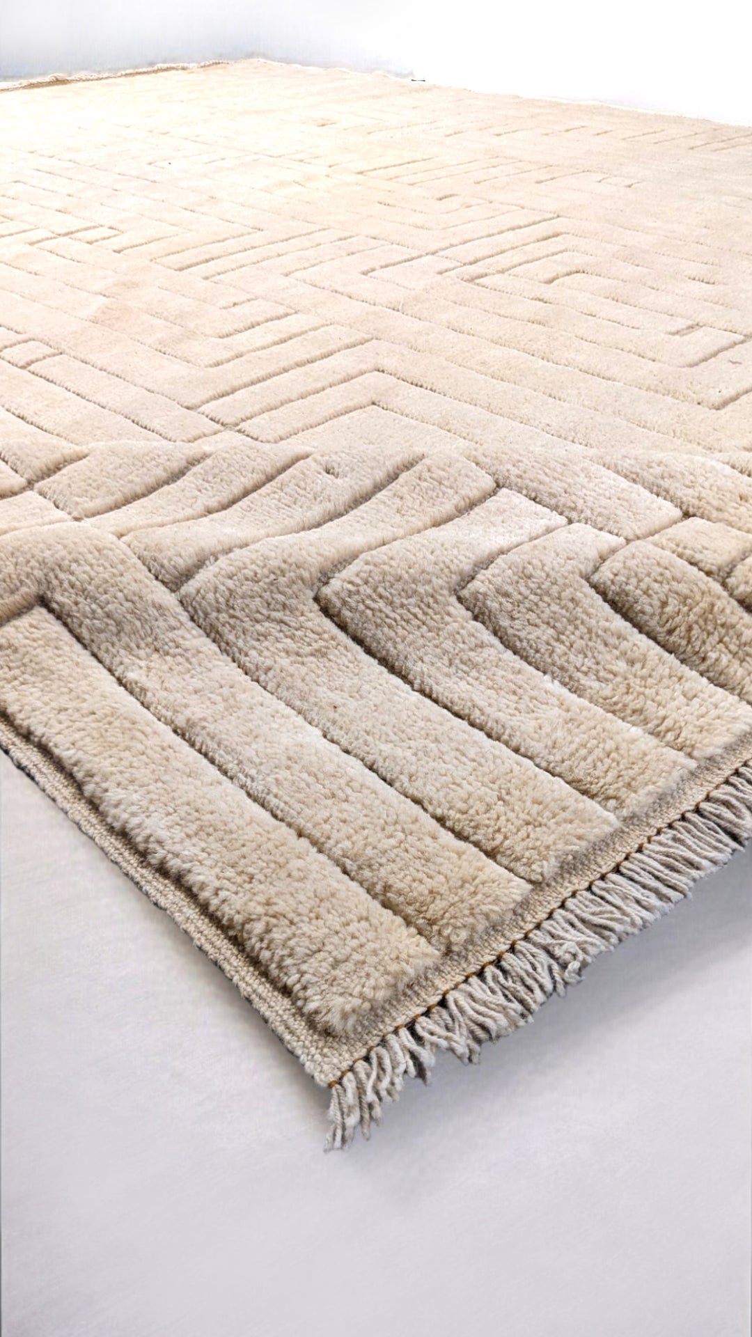 Zeva Hand Knotted Rug - Size: 8.6 x 10