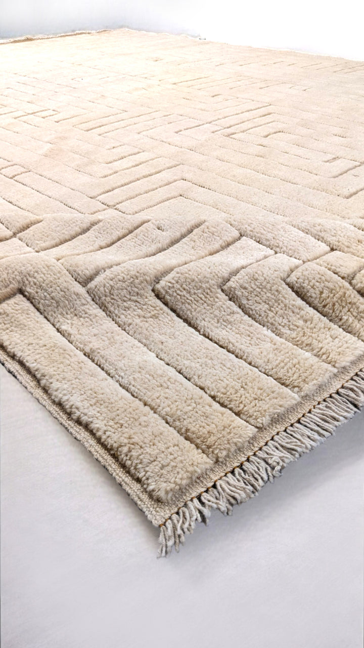 Zeva Hand Knotted Rug - Size: 8.6 x 10
