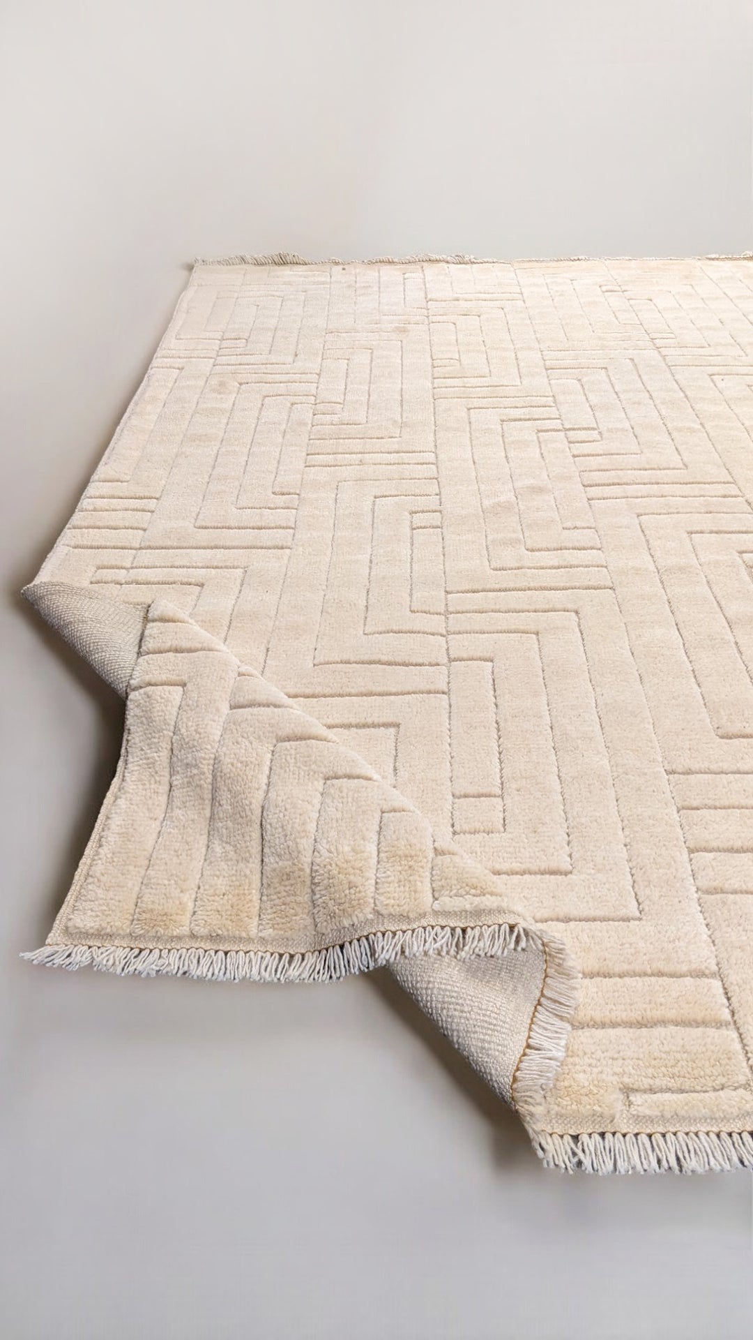 Zeva Hand Knotted Rug - Size: 8.6 x 10