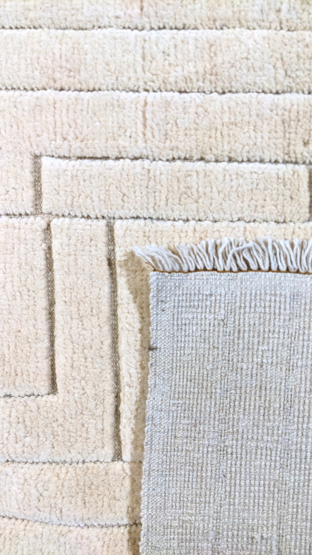 Zeva Hand Knotted Rug - Size: 8.6 x 10