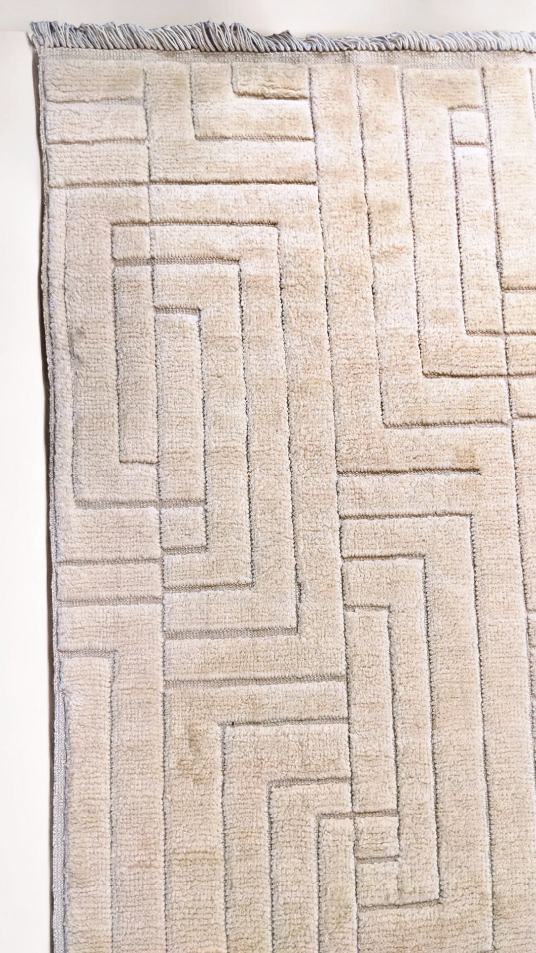 Zeva Hand Knotted Rug - Size: 8.6 x 10