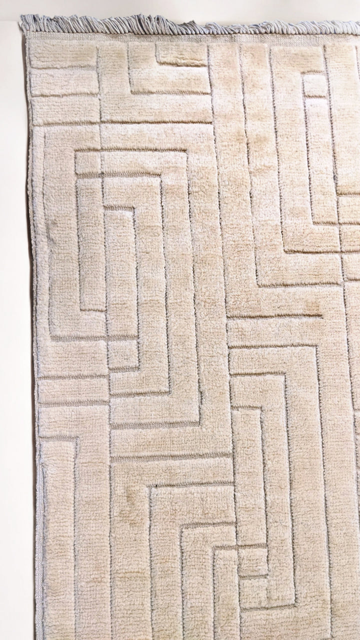 Zeva Hand Knotted Rug - Size: 8.6 x 10