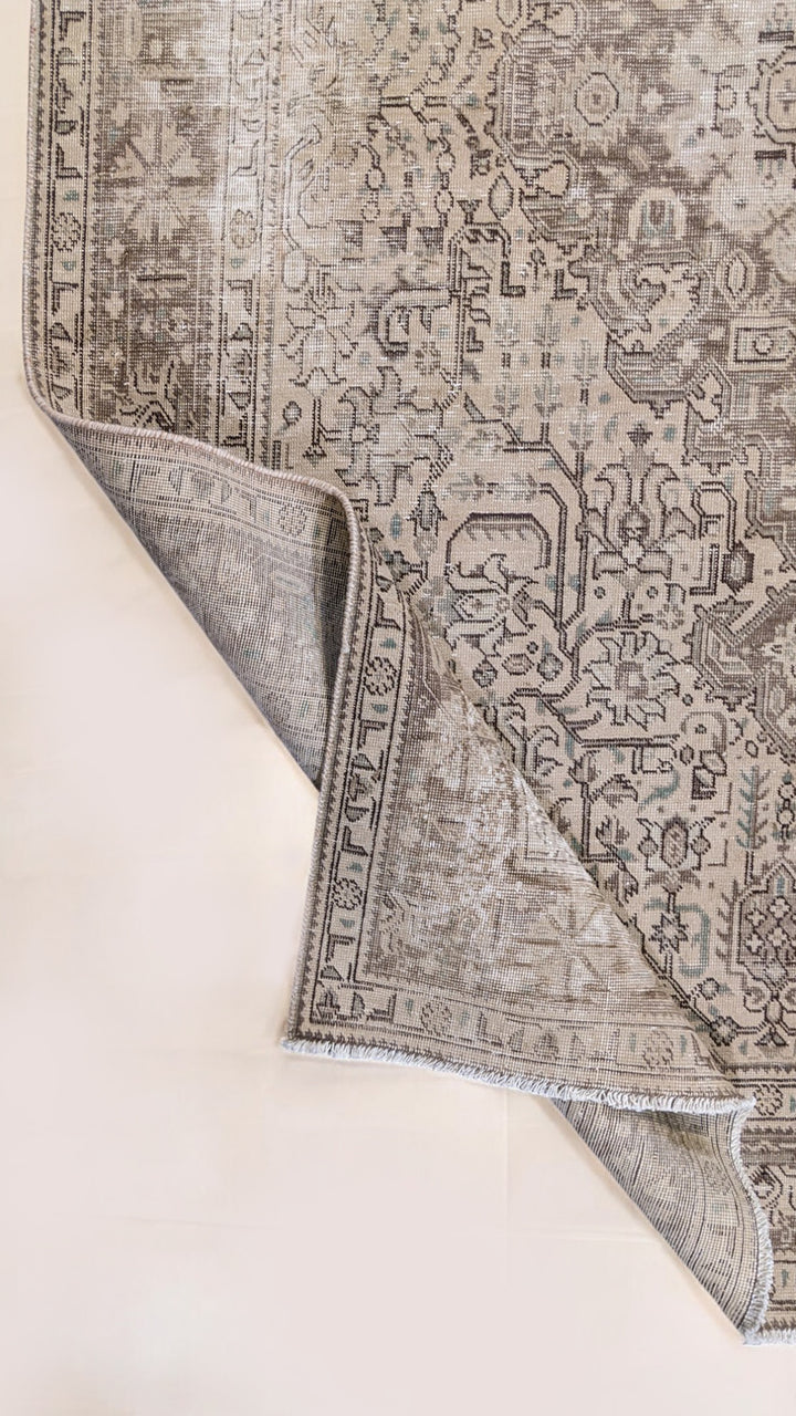 Hamadan Persian Vintage Wash Rug - Size: 9.2 x 6.4