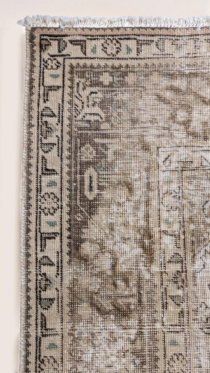 Hamadan Persian Vintage Wash Rug - Size: 9.2 x 6.4