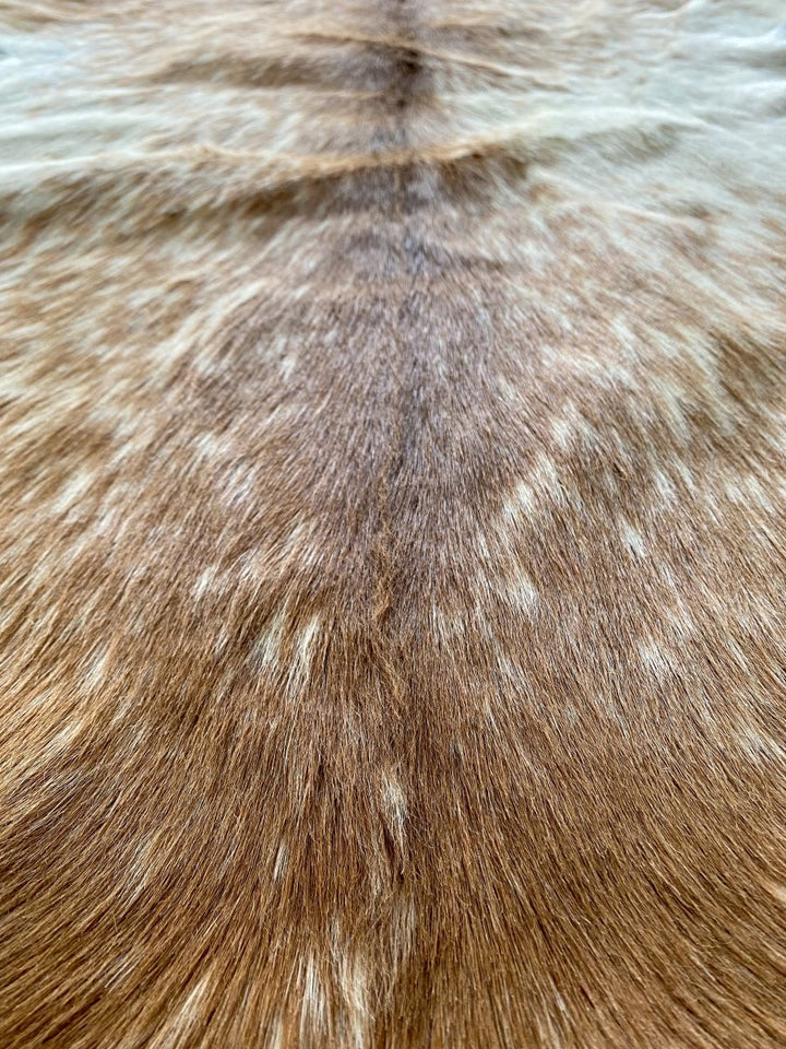 Brown Authentic Cow Hide - Size: 3.3 x 2.5 - Imam Carpets - Online Shop
