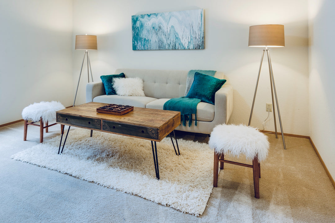 Shaggy Rugs: Cozy and Stylish Home Additions | Complete Guide