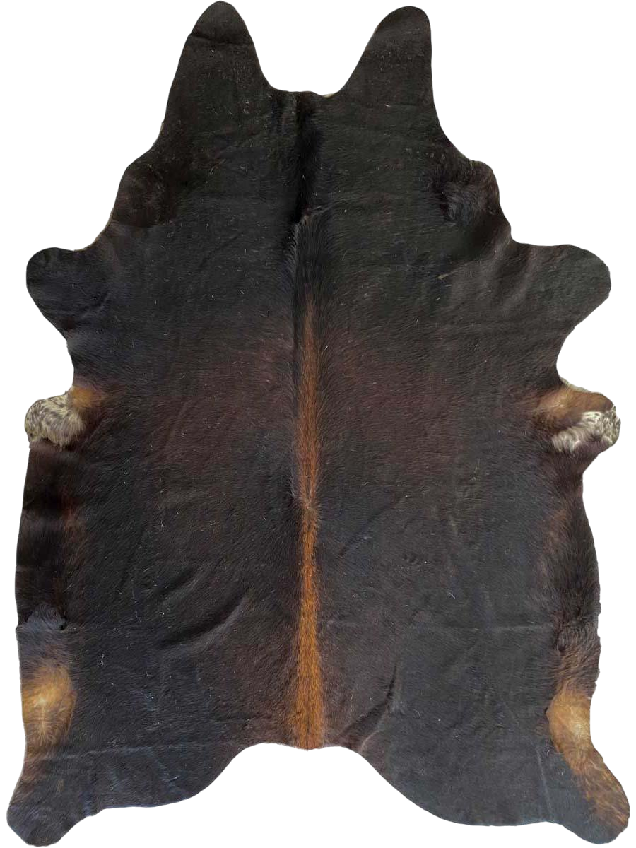 CHD29102