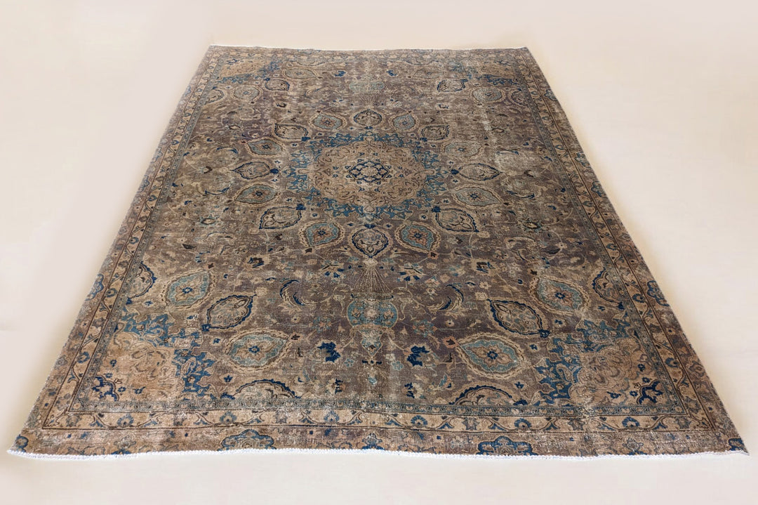 Veloria - Size: 10.10 x 7.8