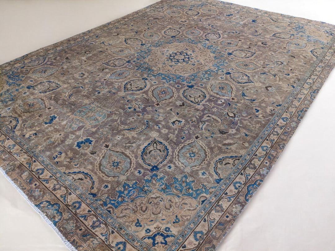 Veloria - Size: 10.10 x 7.8