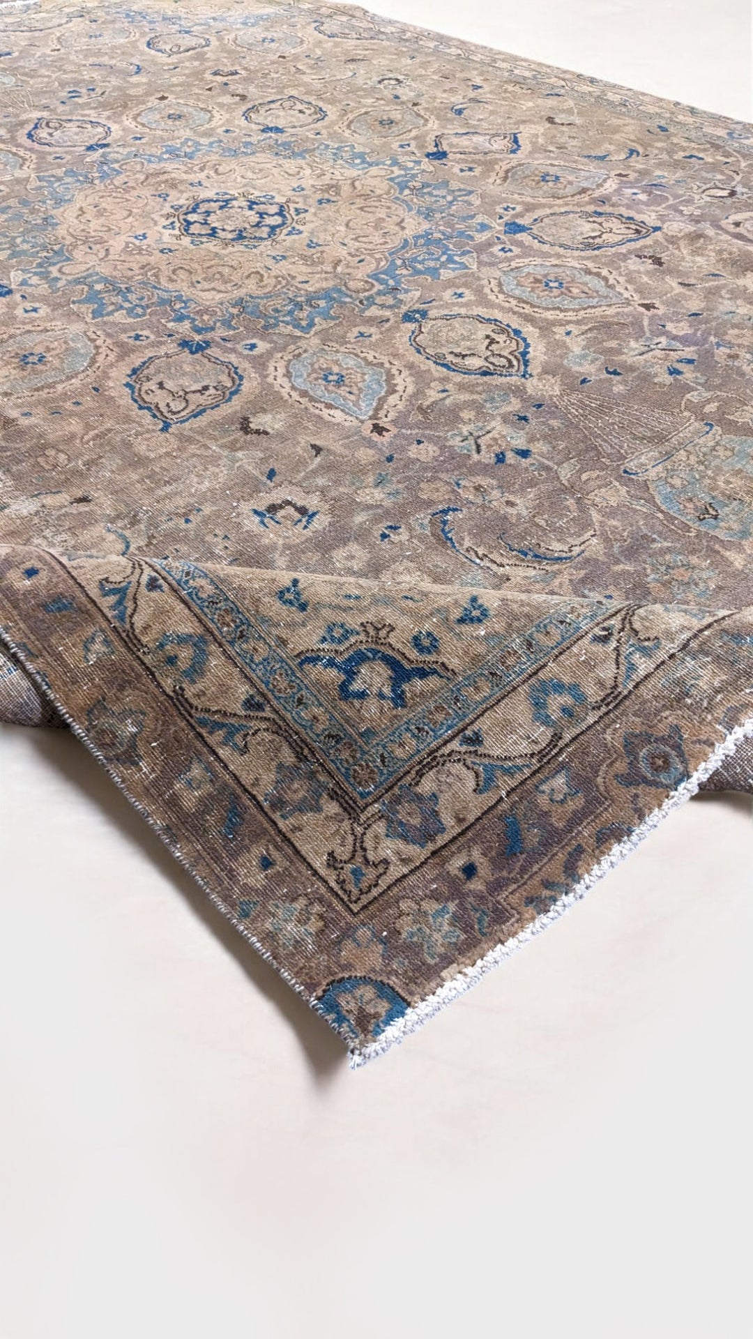 Veloria - Size: 10.10 x 7.8
