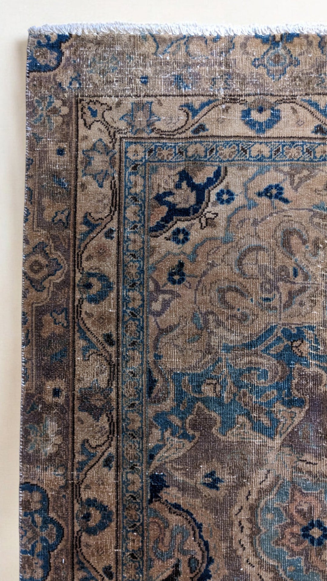 Veloria - Size: 10.10 x 7.8