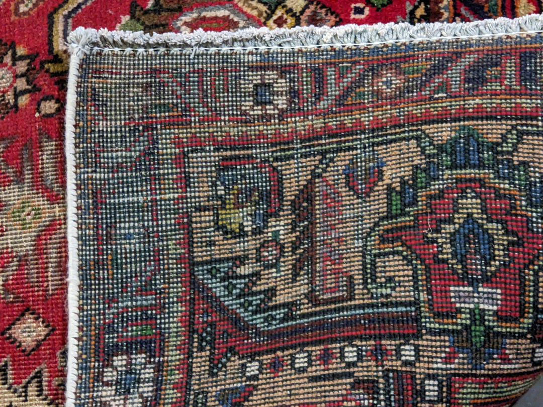 Brisette - Size: 12.7 x 9.7